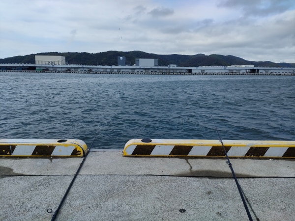 石巻漁港南側岸壁